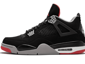 J4-BRED 2019