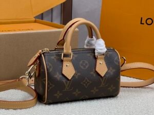 Louis Vuitton bag 3