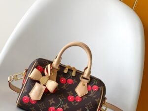 Louis Vuitton bag 1